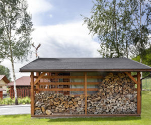 Sprawdzamy ceny drewna opałowego 2026 w Lasach Państwowych