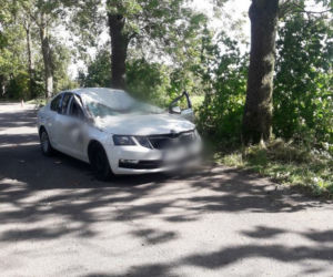Tragiczne skutki wichury na Warmii. Drzewo spadło na auto. KIEROWCA ZGINĄŁ NA MIEJSCU