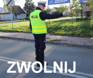 Policja przypomina sygnały i komendy kierujących ruchem