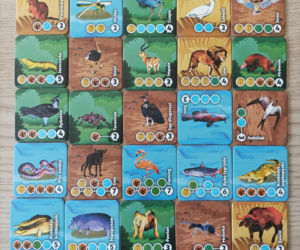 Gra planszowa: Rezerwat