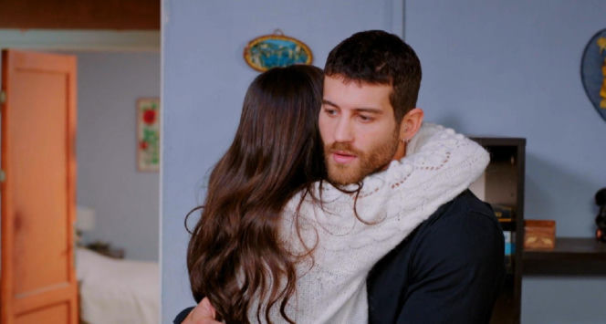 Miłość i nadzieja, odcinek 339. Cihan, Zeynep