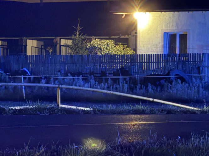 Kierowca uderzył w barierki, barierka przebiła auto i zabiła pasażera, kierowca uciekł pieszo