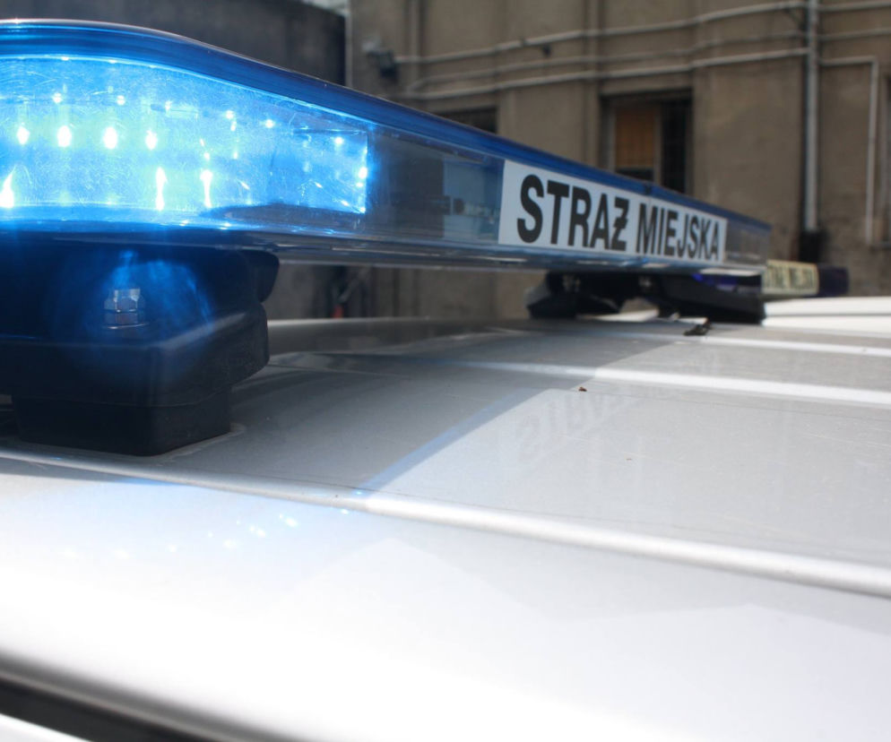 Po brutalnej interwencji Straży Miejskiej w Łodzi Komendant przeprasza 