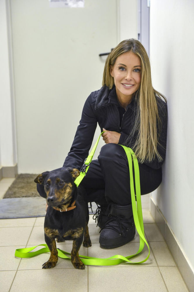 Małgorzata Rozenek-Majdan odwiedziła schronisko w Łodzi