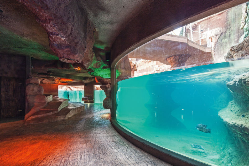 Afrykarium we Wrocławiu 