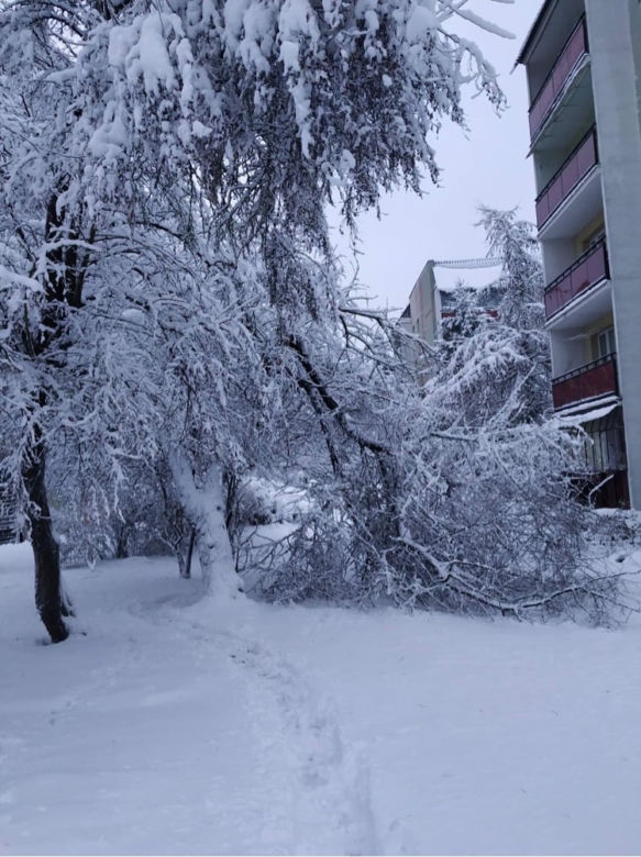 Atak zimy w Białymstoku [26.01.2021]