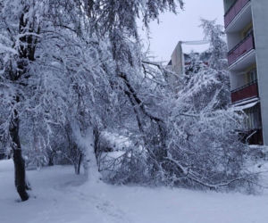 Atak zimy w Białymstoku [26.01.2021]