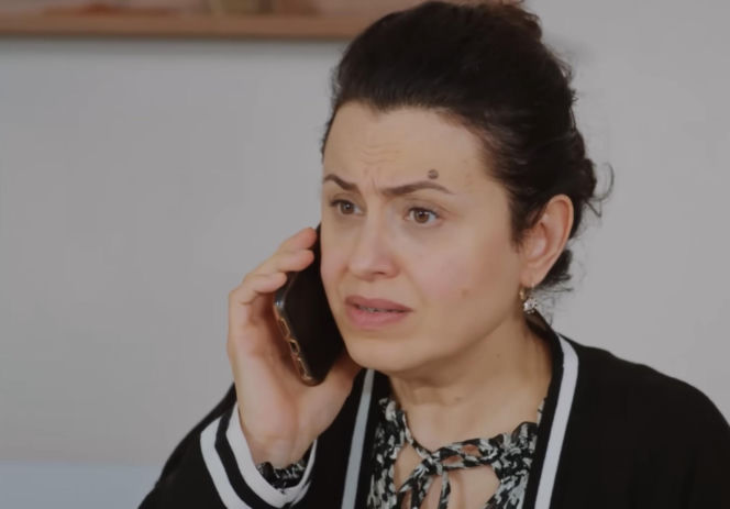 Miłość i nadzieja, odcinek 348. Cavidan