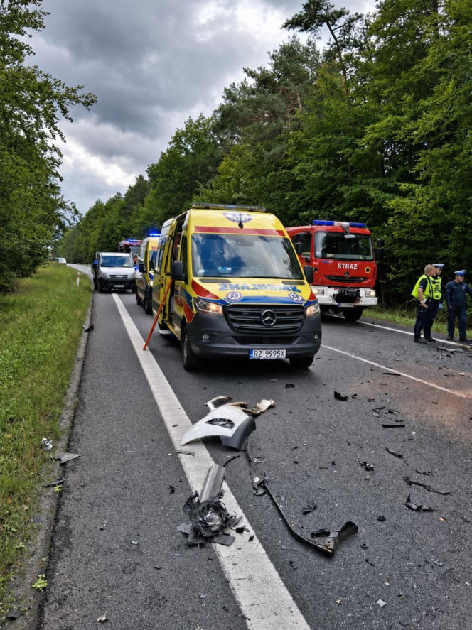 Czołowe zderzenie na Podkarpaciu. Dwie osoby zginęły! [ZDJĘCIA]