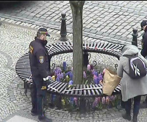 Kołobrzeg. Odłożyła zakupy i zanurkowała w klombie. 