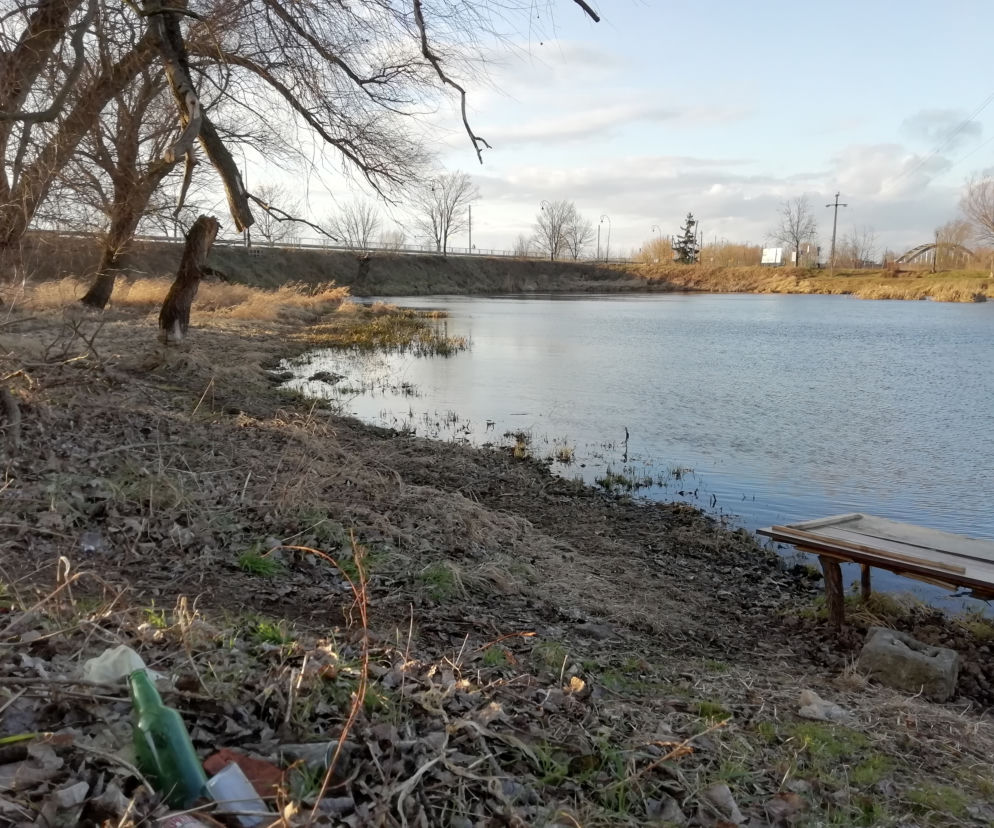 Tereny nad Pilicą w Białobrzegach 