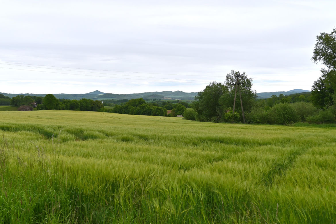 Panorama Marczowa w kierunku Doliny Bobru