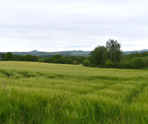 Panorama Marczowa w kierunku Doliny Bobru