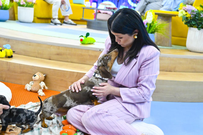 Garnitur Kasi Cichopek idealnie sprawdzi się na Komunię. Ten kolor idealnie wpisuje się w wiosenne trendy