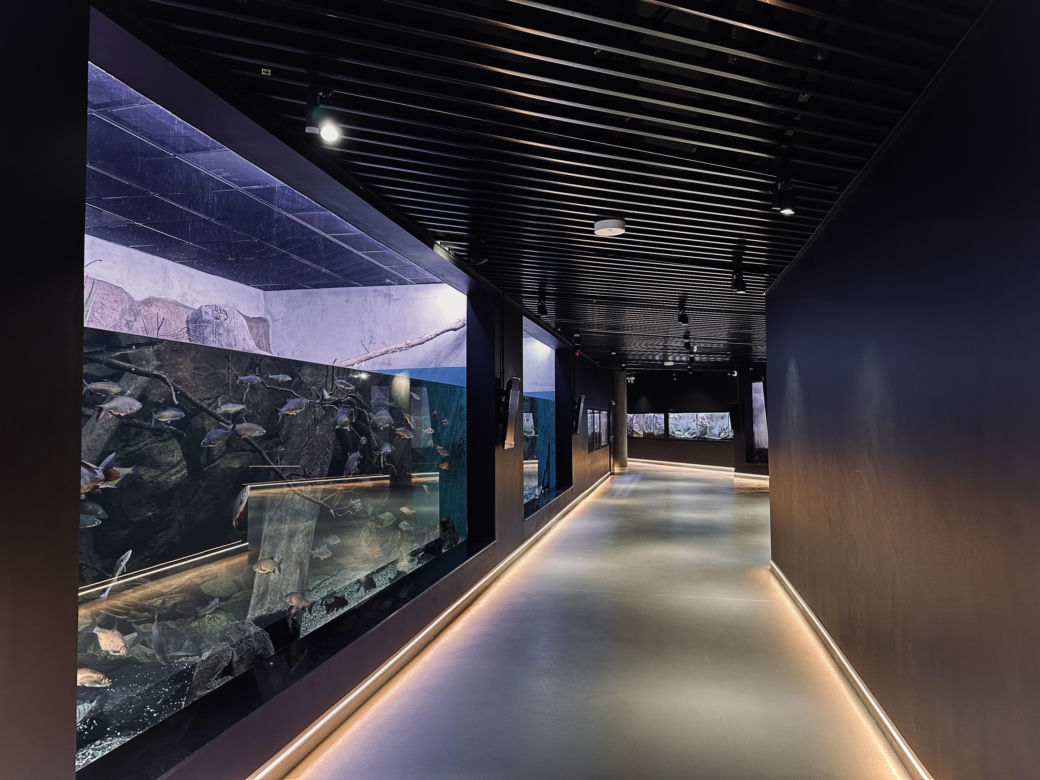 Nowe Egzotarium w Sosnowcu