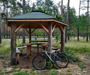 To jedno z najpiękniejszych miast na Śląsku. Czaruje jedynym takim pałacem myśliwskim w Polsce