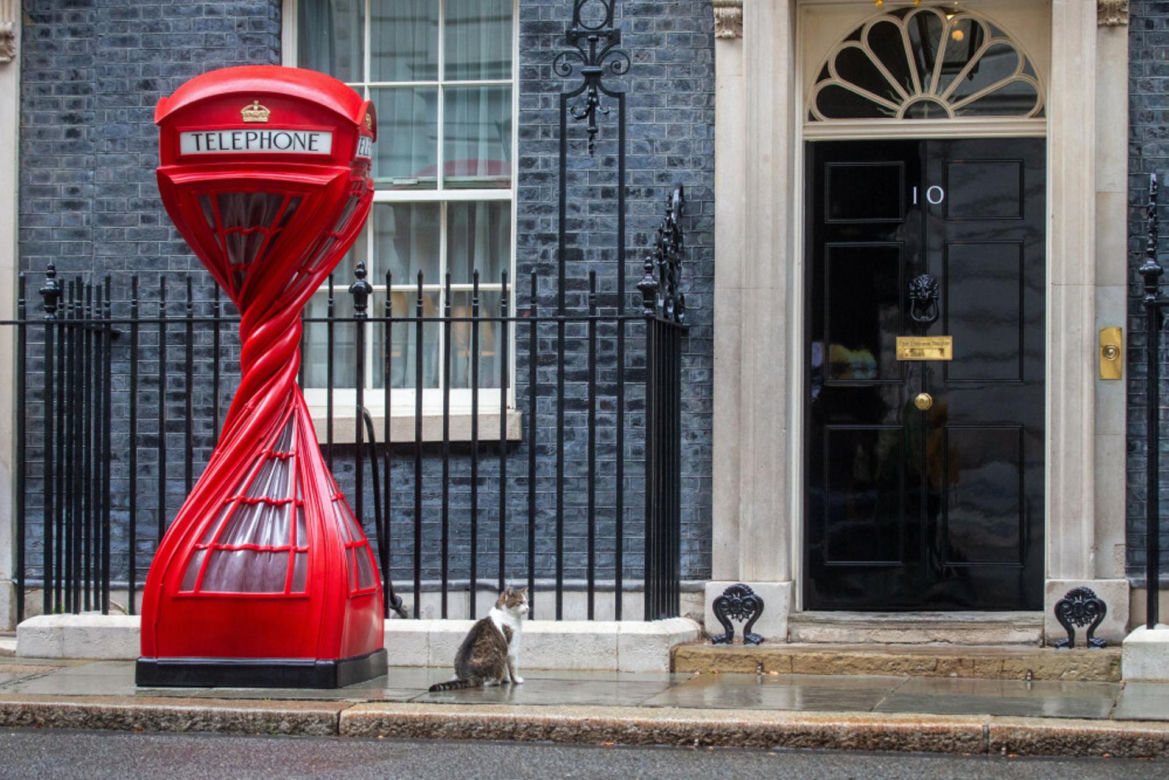 Oto Larry. Chief Mouser to the Gabinet Office