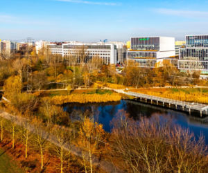 Pętla tramwajowa Wyścigi w Warszawie i okolice