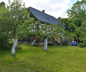 Wolimierz 126