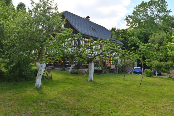 Wolimierz 126