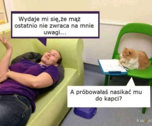 Dzień Kota 2020