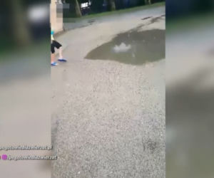 Dramat szczeniaka pod Płockiem