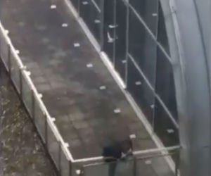 Europoseł Grzegorz Tobiszowski uwięziony na tarasie
