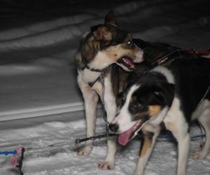 Wyjazd VOX FM do Laponii