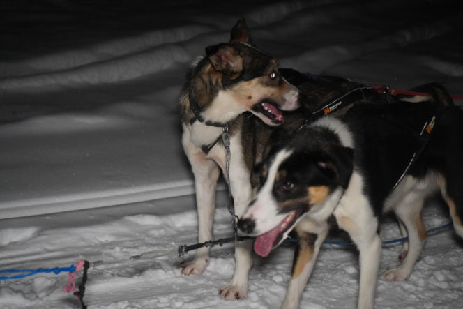 Wyjazd VOX FM do Laponii