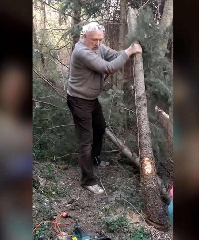 Janusz Korwin-Mikke Politycy od kuchnii