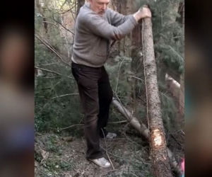 Janusz Korwin-Mikke Politycy od kuchnii