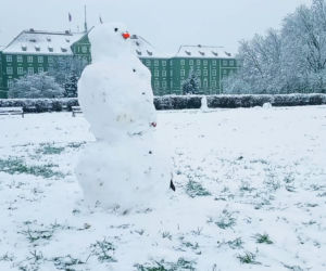 Pierwszy śnieg w Szczecinie