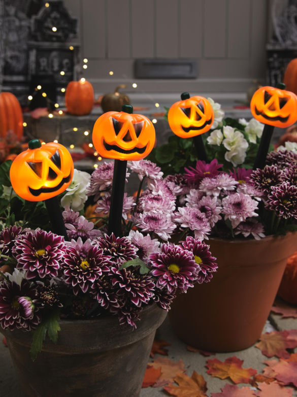Halloween - dekoracje domu