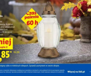 Znicze i chryzantemy w promocji w Lidlu przed 1 listopada 2026