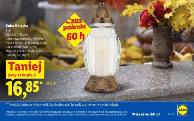 Znicze i chryzantemy w promocji w Lidlu przed 1 listopada 2026