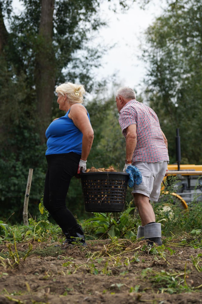 3. odcinek "Sanatorium miłości"