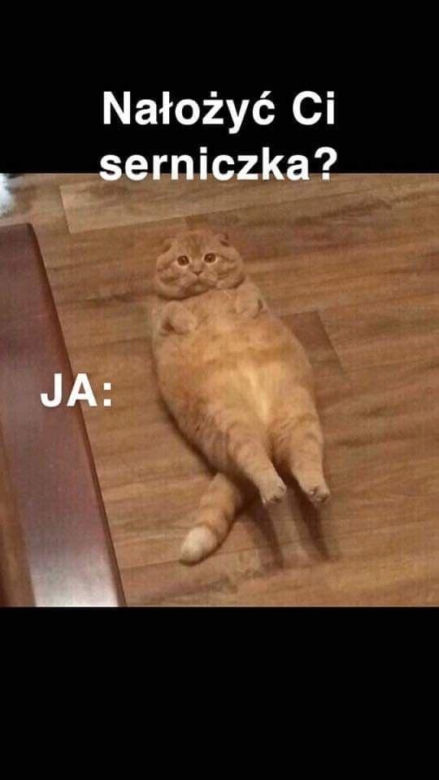 Świąteczne memy 2023
