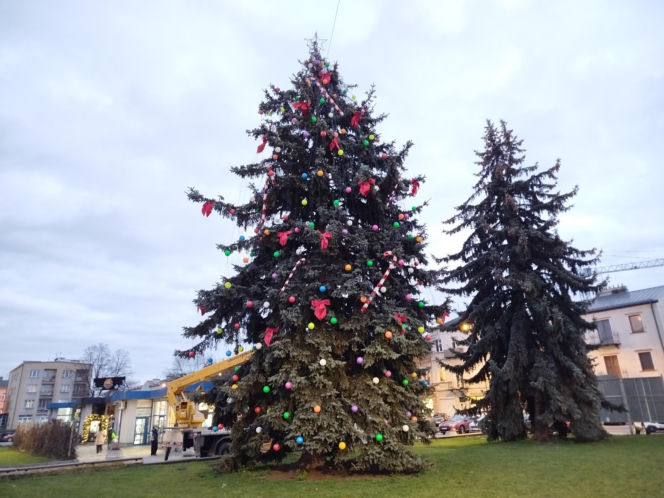 Choinka miejska Siedlce