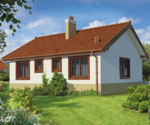 Projekt C272 Filigranowy