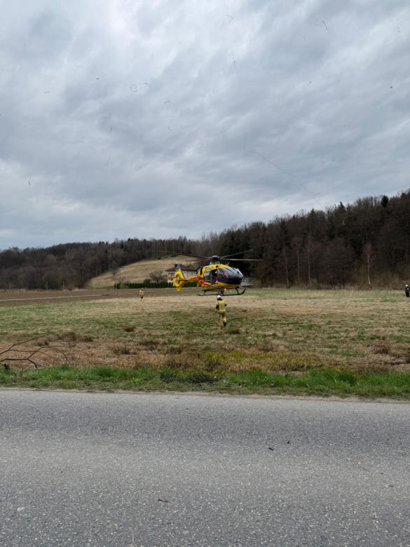 Czermna. Dostawcze IVECO roztrzaskało się na drzewie. Nie żyje kierowca
