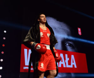 Suzuki Boxing Night IV