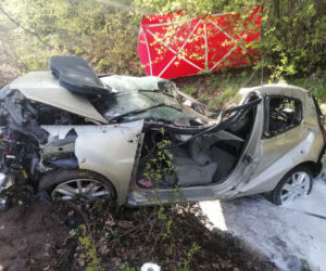 Nie żyją dwie osoby! Ich renault ROZTRZASKAŁO się o drzewo na DK 62 pod Wyszkowem [ZDJĘCIA]