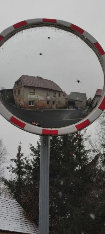 Kto strzelał do figury Jezusa w Krzepielowie w pow. wschowskim?