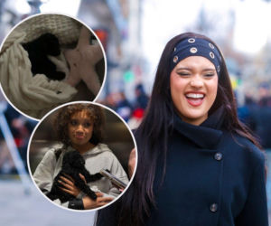 Sara James pochwaliła się pupilem! Uroczy szczeniak roztopił serca fanów!