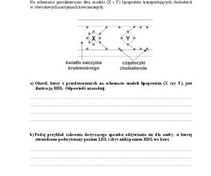 Arkusz biologia podstwowy matura 2014