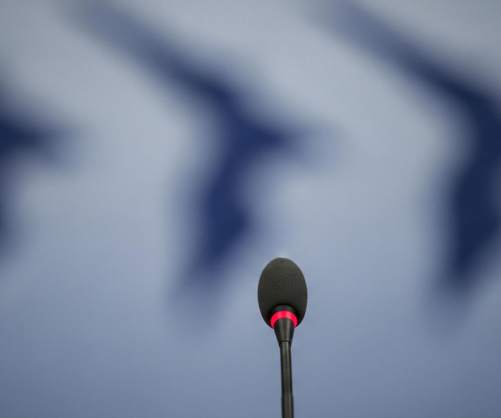 W centrum kadru znajduje się ciemnoszary mikrofon z osłoną z gąbki, umieszczony na cienkim, giętkim ramieniu. Poniżej osłony gąbkowej widać czerwony pierścień, a pod nim czarny element łączący mikrofon z ramieniem. Tło jest jasnoniebieskie, z trzema rozmytymi, ciemniejszymi kształtami przypominającymi litery V lub stylizowane ptaki w locie, rozłożonymi horyzontalnie za mikrofonem.