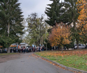 Grób Miecia utonął w białych kwiatach
