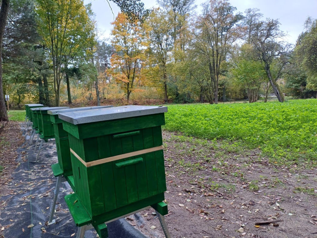 Pasieka Edukacyjna Ostrzeszów
