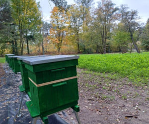 Pasieka Edukacyjna Ostrzeszów
