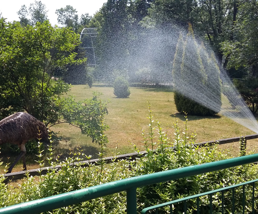 ZOO: Chorzów
